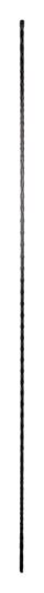 Immagine prodotto Windhager Grata-rampicanti (120 cm, 0.80 cm)