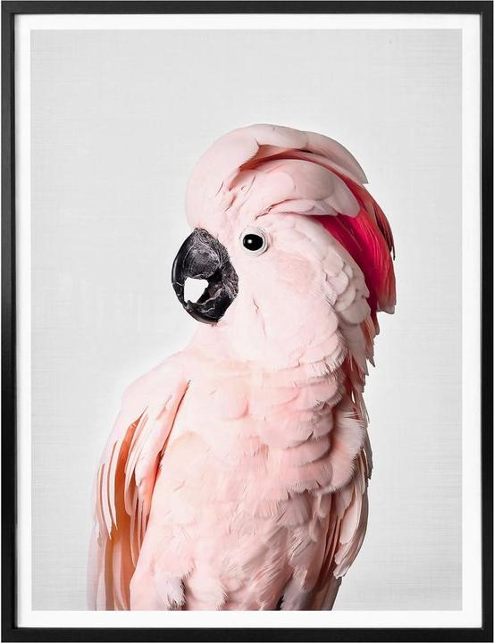Produktbild Trenddeko Rosa Kakadu (60 x 80 cm)