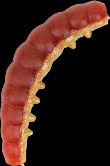 Actual product image Berkley Powerbait Power Honey Worms Red Yellow (2.50 cm)
