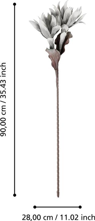 Actual product image EGLO LIVING Molave (28 cm)