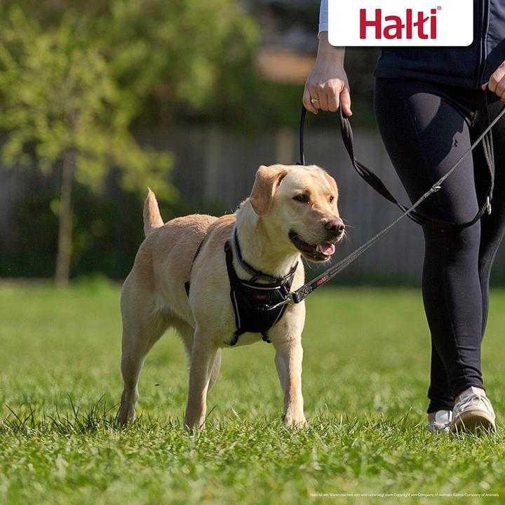 Produktbild Halti Anti Pull Hunde Brustgeschirr (M, Hund, Allgemein)