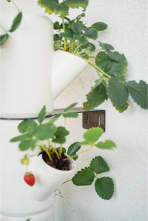 Image du produit Gusta Garden Pots de culture SISSI STRAWBERRY Infinity, blanc (27 cm)