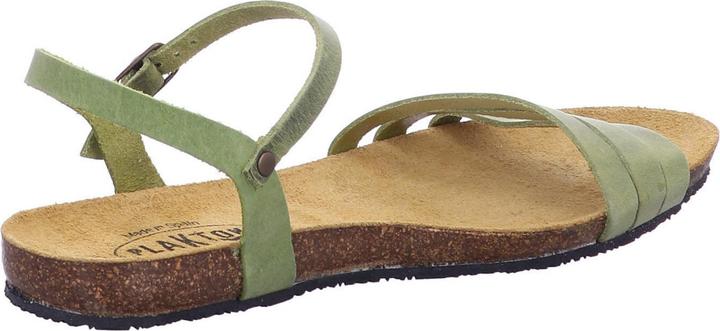 Actual product image Plakton 575080 PISTACIO (40)