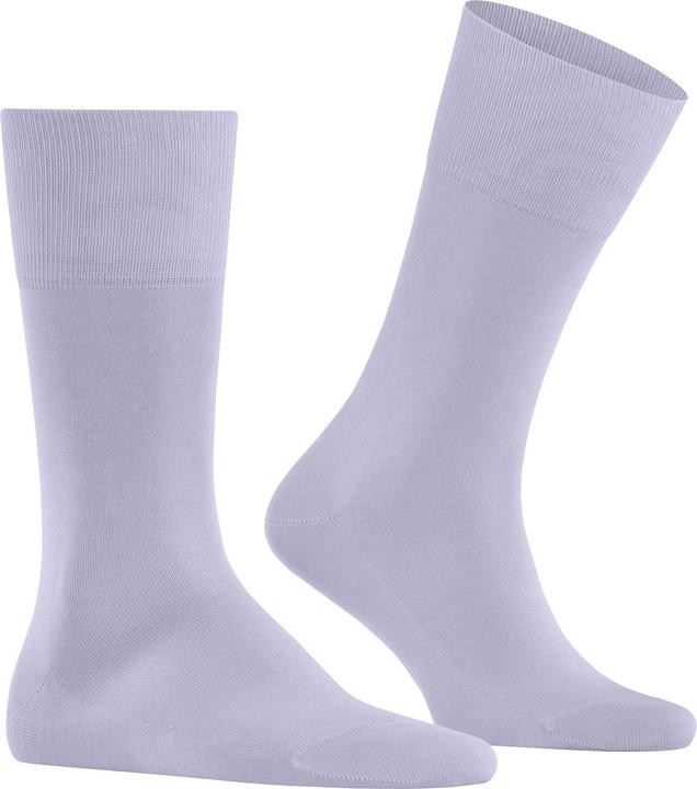 Actual product image Falke Tiago Men (43 - 44)