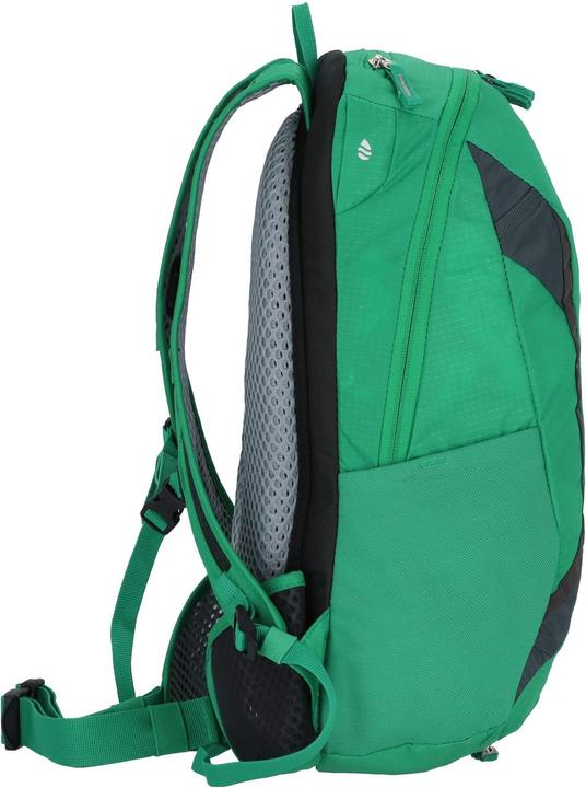 Actual product image Deuter Race X (12 l)
