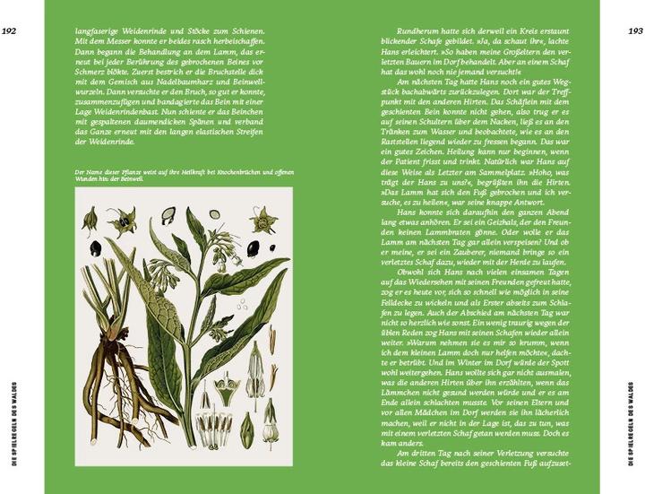 Actual product image Strategien der Natur (German, Erwin Thoma, 2019)
