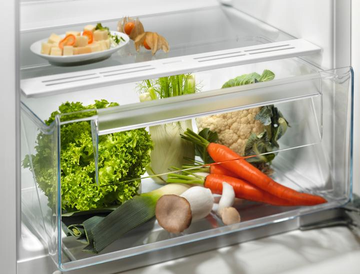 Actual product image Electrolux EK242SLSW (214 l)