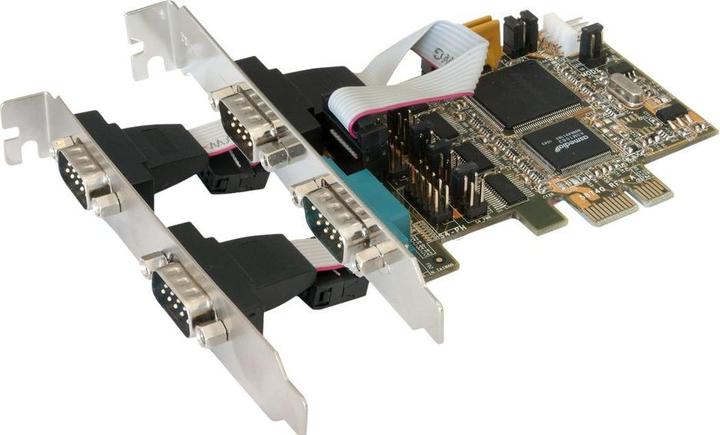 Actual product image Roline Dvi — Dvi (1 m, DVI)