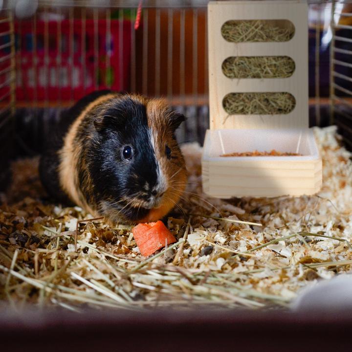 Actual product image Relaxdays 2-piece hay rack set