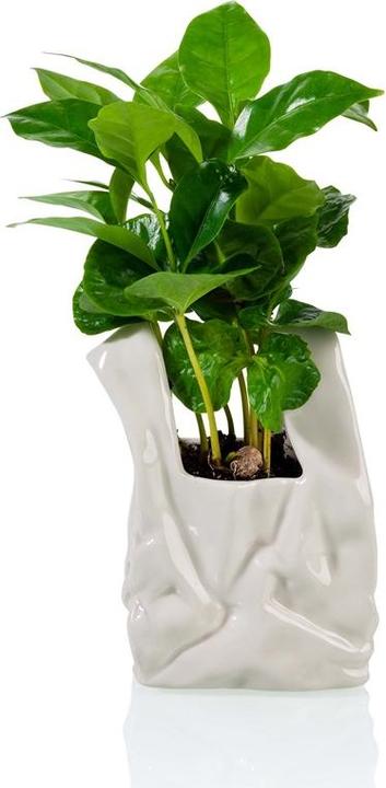Actual product image Bitten I Am Not A Plastic Bag (1 x, 16 x 7 x 23 cm)