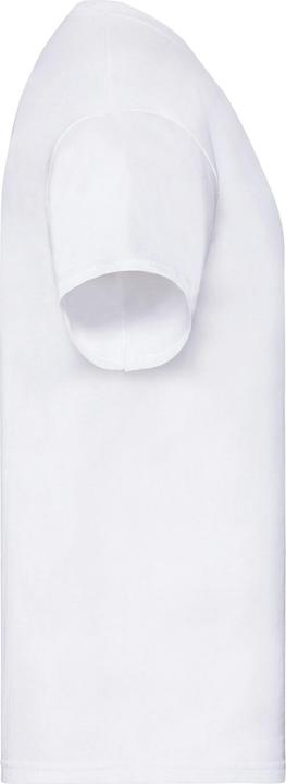 Actual product image Fruit of the Loom Mens Original Layered T-Shirt (M)