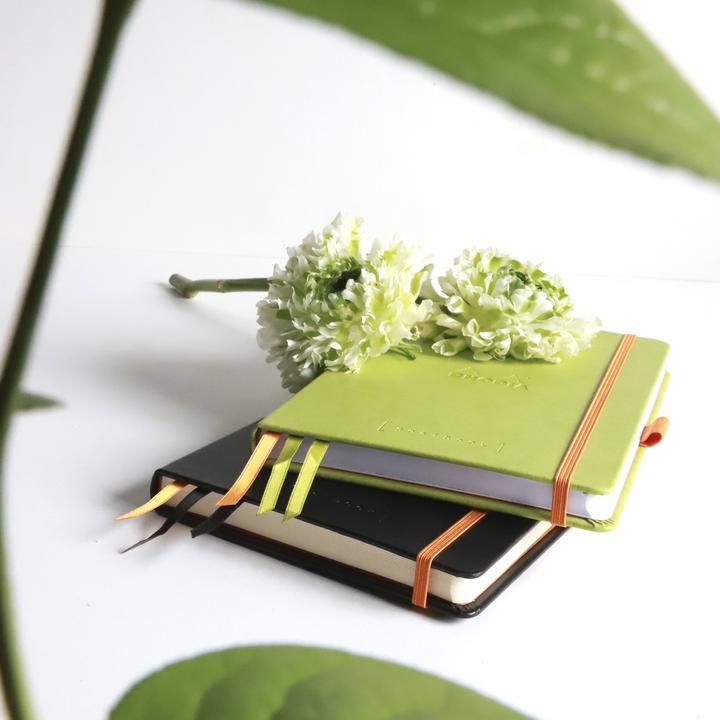 Immagine prodotto Rhodia Quaderni e quaderni Rho (A5, Quadretti)