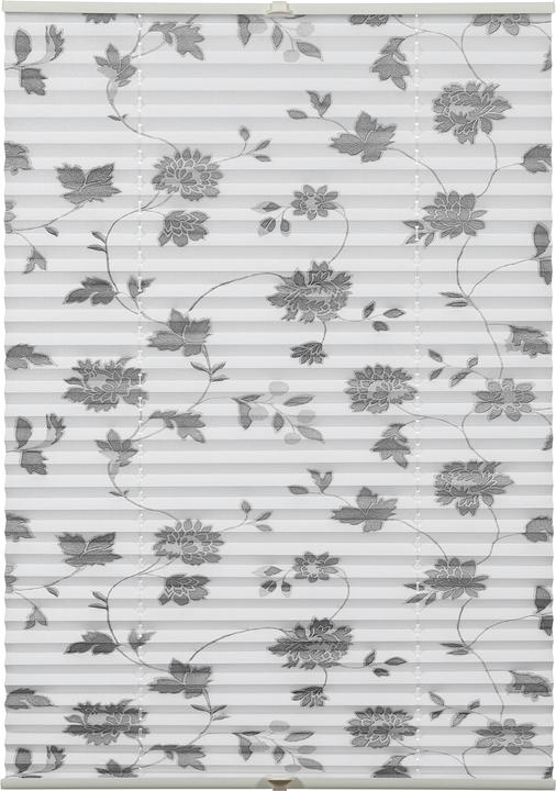 Immagine prodotto Gardinia Cieco plissettato Concetto per il bloccaggio di fiori e piante in fiore (70 x 130 cm)