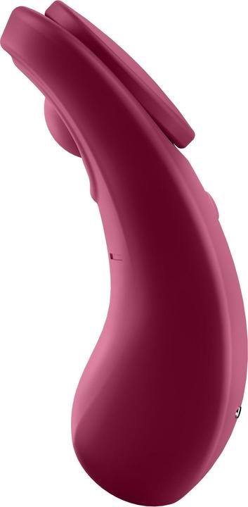 Image du produit Satisfyer Sexy Secret Panty