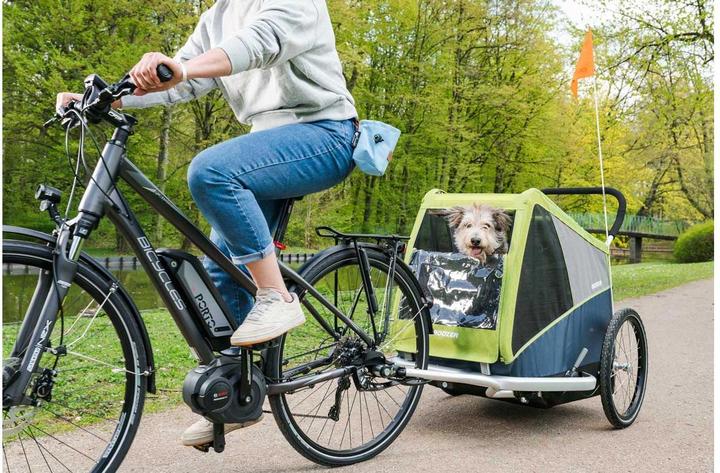 Actual product image Croozer Dog Jokke