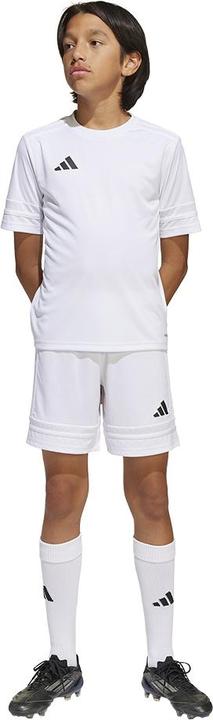 Actual product image adidas Squadra 25 Short Kids (176)