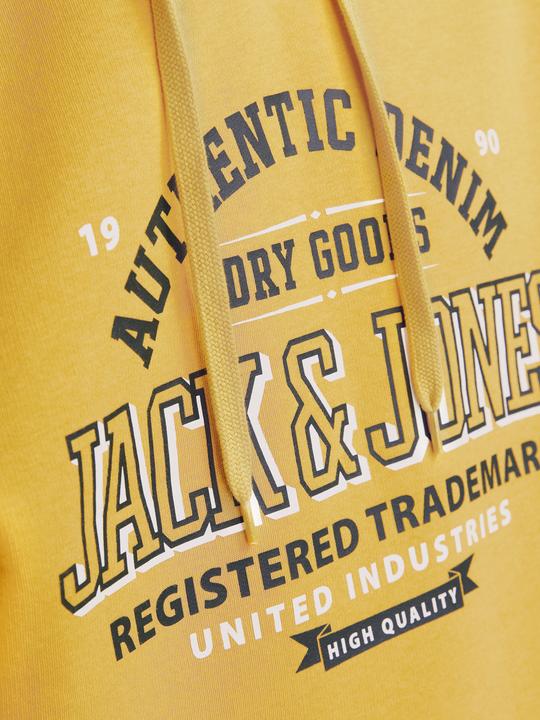 Immagine prodotto Jack & Jones JJELOGO SWEAT HOOD 2 COL 24/25 NOOS (XXL)