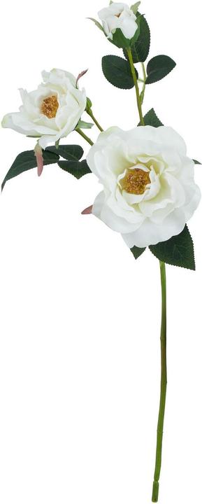 Immagine prodotto Hill Interiors The Natural Garden Collection Rosa Tea Fiore Artificiale (60 cm)