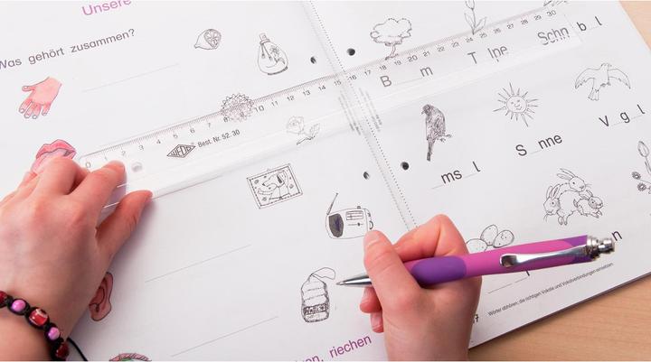 Actual product image Wedo Plastic ruler (300 mm)