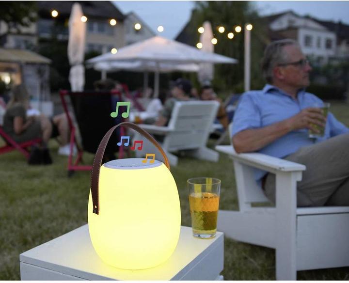Actual product image Megatron LED Outdoor Table Lamp with Speaker Outdoor Table Lamp (50 lm)