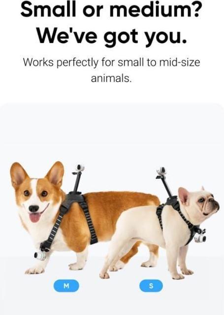 Produktbild Insta360 GO 3/GO 3S Pet Harness Mount Si (Go 3)