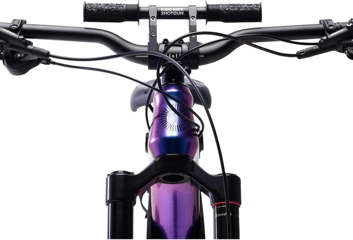 Immagine prodotto Kids Ride Shotgun Combo di sedili per fucili da caccia 2.0 (Telaio bici)