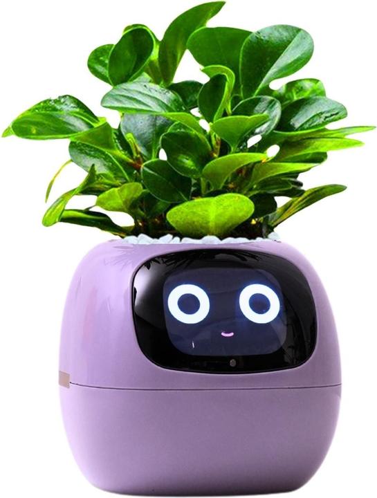 Actual product image Hermex Ivy Smart Planter (11 cm)