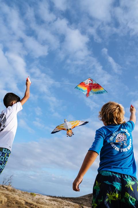 Produktbild Tribord Flugdrachen statisch Kinder - MFK150 Vogel