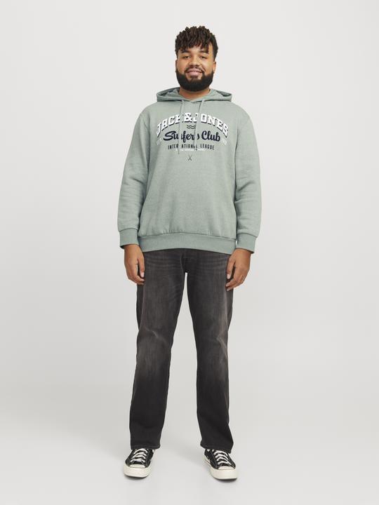 Produktbild Jack & Jones JJELOGO SWEAT HOOD 2 COL 24/25 NOOS PLS (3XL)
