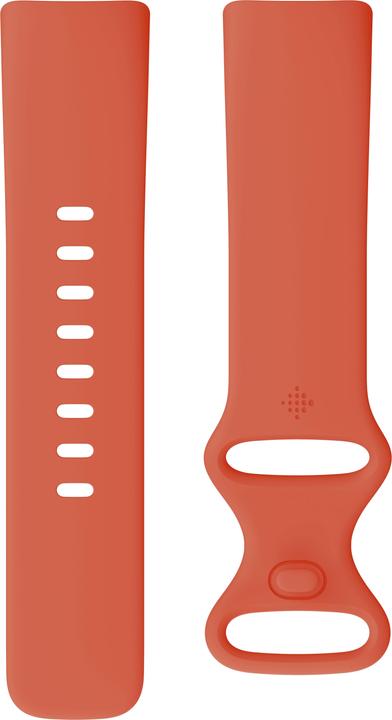 Image du produit Fitbit Charge 6 (36.73 mm)