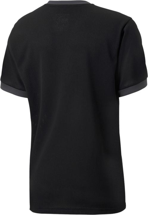 Image du produit Puma teamGOAL 23 Jersey jr-704160 (128)