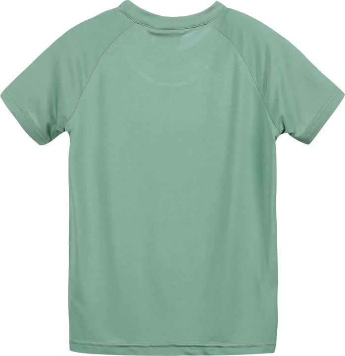 Actual product image Color Kids Kid's T-Shirt with Print S/S (104)