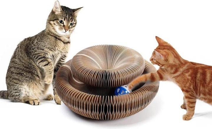 Hermex Katzen Spielzeug (Beschäftigungsspielzeug Katze)
