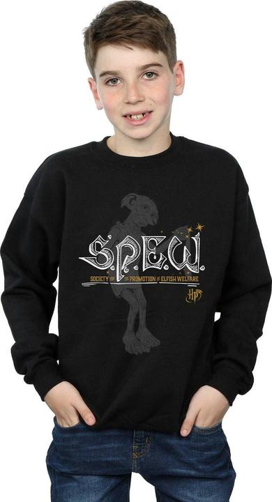 Actual product image Boys Dobby Elfish Welfare Sweatshirt (152, 158)