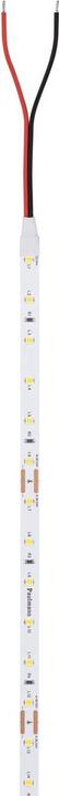 Immagine prodotto Paulmann Pro Strip Silver P25 (Bianco neutro, 500 cm, Interno)