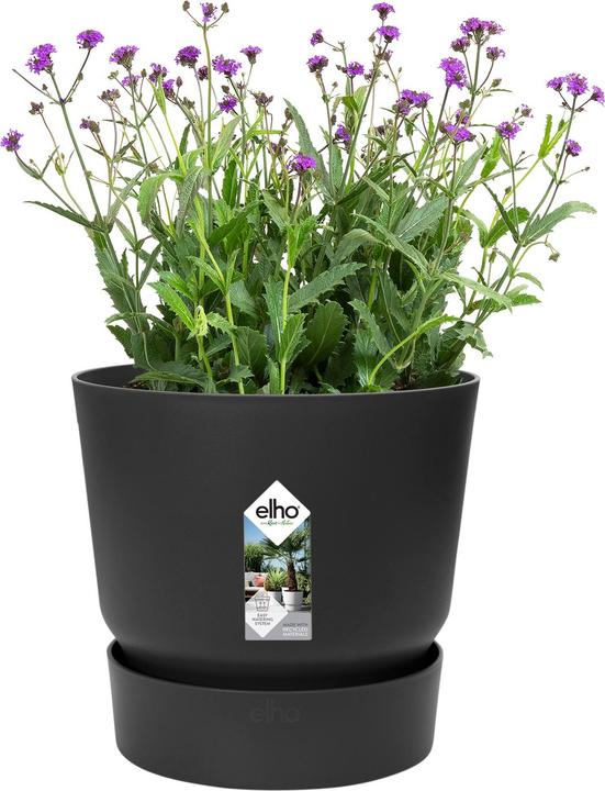 Actual product image Elho Greenville (24.48 cm)