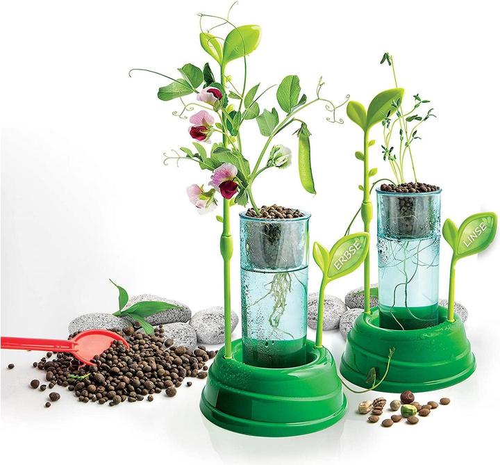 Actual product image Clementoni Botany and hydroponics