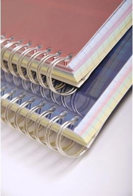 Immagine prodotto Clairefontaine Quaderno a spirale con indice (A4, Quadretti, Copertina rigida)