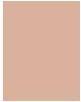 Immagine prodotto Sisley Phyto Complexion Nude No 3C (3C Naturale)