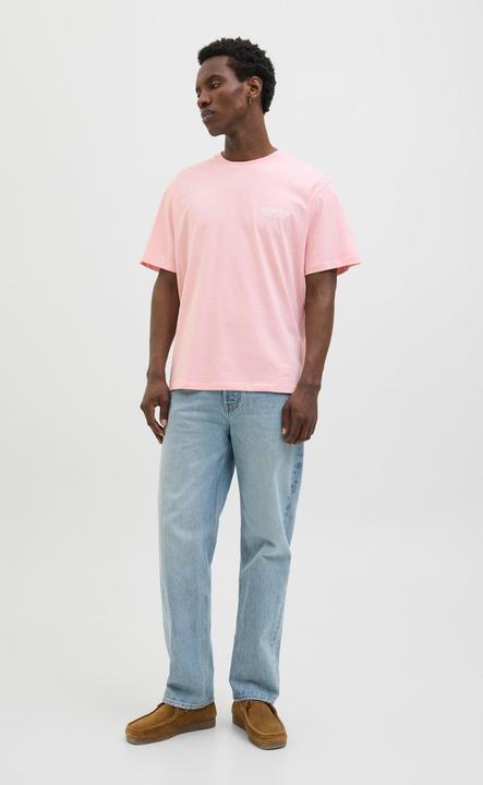 Actual product image Jack & Jones Jorbotaniq Tee Ss Crew Neck Tg Ln (XXL)