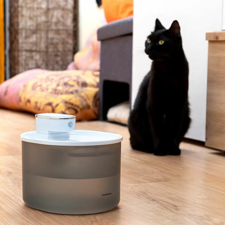 Actual product image InnovaGoods Wiederaufladbarer Katzenbrunnen mit Sensor (3 l)