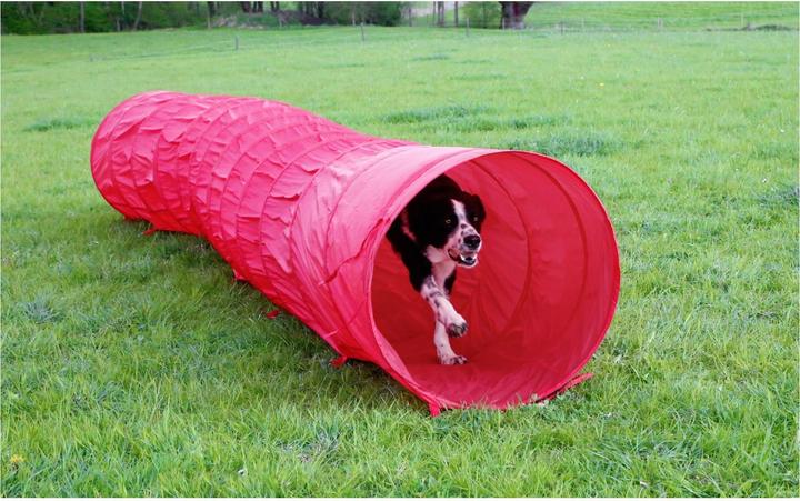 Produktbild Kerbl Hundetunnel