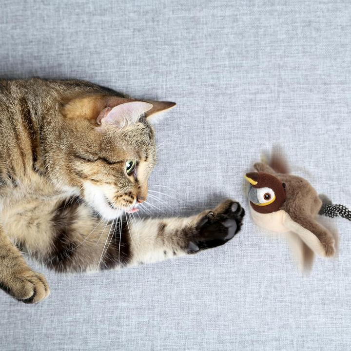 Immagine prodotto Suba Giocattolo elettrico per uccelli (Catmint giocattolo)