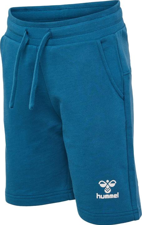 hummel Hmlflow Shorts (140)