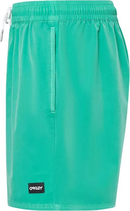 Actual product image Oakley Robinson RC 16" Beach Shorts (L)