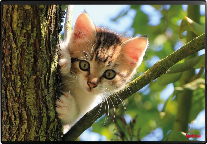 Produktbild Kolma Schreibunterlage Poster (Katze) 50 x 34 (50 x 34 cm)