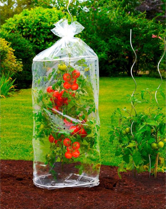 Produktbild Wenko Tomaten-Hauben