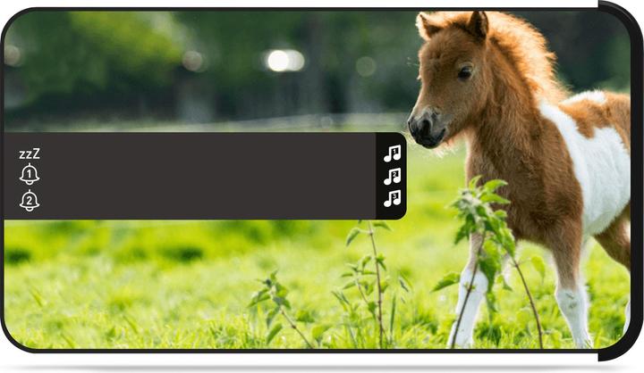 Actual product image Bigben Horses