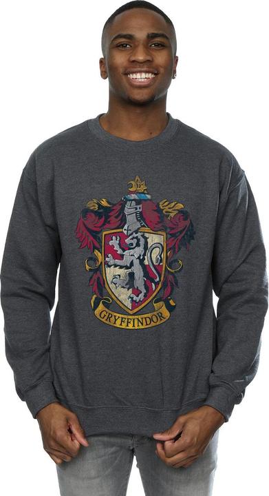 Immagine prodotto Felpa Gryffindor Uomo (L)
