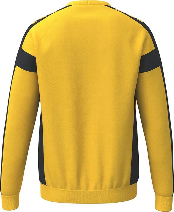 Actual product image Erima CMPT 3 Wings Sweatshirt GK (S)